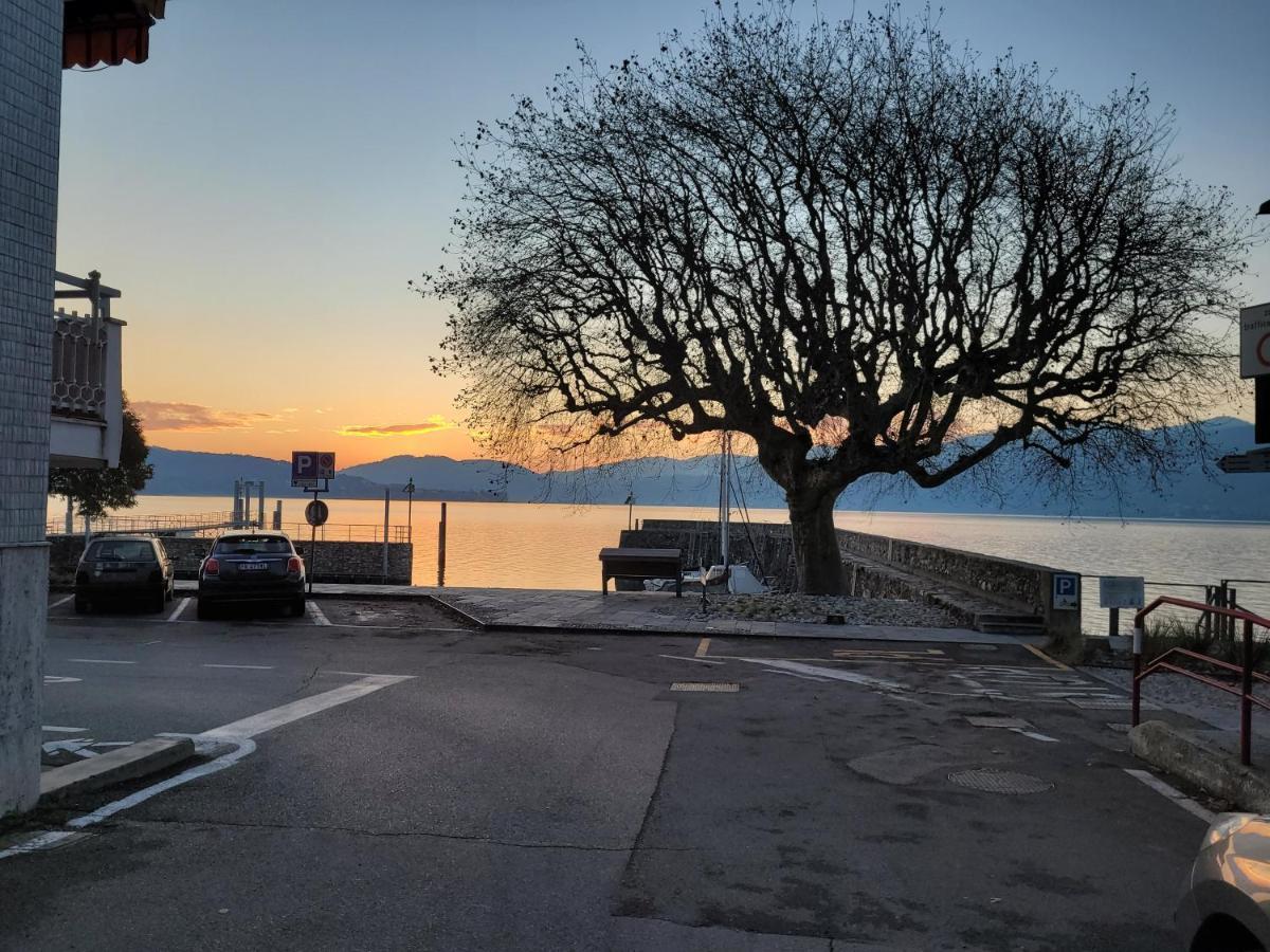 San Martino Lake View Apartment Ispra Εξωτερικό φωτογραφία